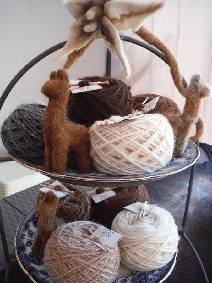 Willa Monte Frio Alpacas Nariz Zewnętrze zdjęcie