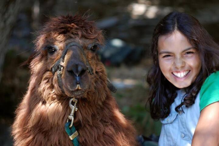 Willa Monte Frio Alpacas Nariz Zewnętrze zdjęcie