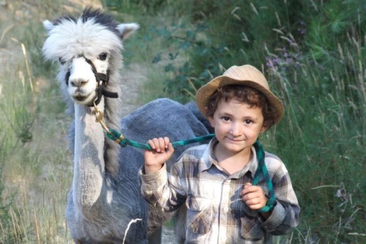 Willa Monte Frio Alpacas Nariz Zewnętrze zdjęcie